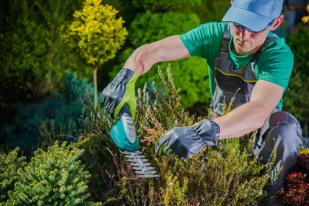 landscaping services Archie